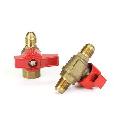 Het samengeperste van de het Gasfles van de Aardgasklep 1/2inch bewijs van de de Klepschuring