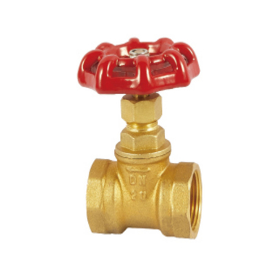 1/2inch de hand Verborgen Antislijtage van de Sluitklepmessing Verborgen Plugkraan