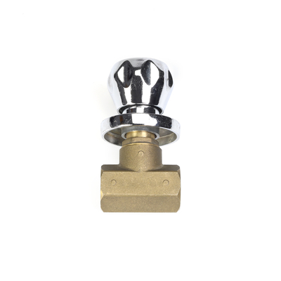 Van het de Klepnikkel van waterheater service oem brass stop het Bewijs van de het Platerencorrosie