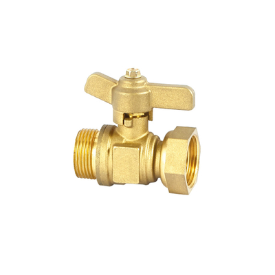 Roestvrije de Controleklep 32mm van het Manierwater 22mm niet Terugkeerklep