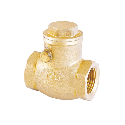 Roestvrije de Controleklep 32mm van het Manierwater 22mm niet Terugkeerklep