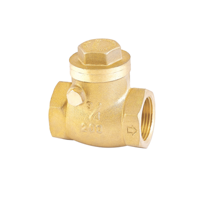 Roestvrije de Controleklep 32mm van het Manierwater 22mm niet Terugkeerklep