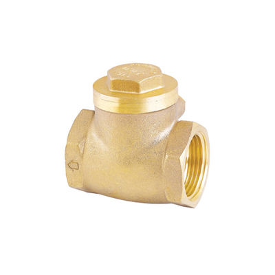Roestvrije de Controleklep 32mm van het Manierwater 22mm niet Terugkeerklep