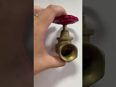 1/2“ X 3/8“ 1/4 Ingepaste de HoekSluitklep dn20-NPT van het Draaimessing